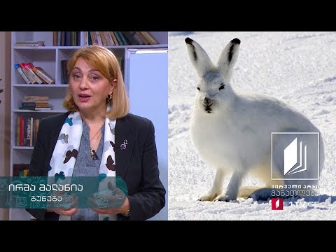 ბუნება, III კლასი - საქართველოში მობინადრე ძუძუმწოვრები  #ტელესკოლა