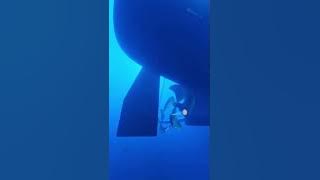 baling baling kapal pesiar terbesar#shorts#viral #tiktok