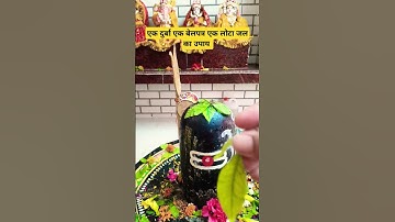 💯जब कोई व्यवस्था न हो तो एक दूर्वा एक लोटा जल एक बेलपत्र का उपाय 🌿#upay#shivmahapuran #shortsfeed