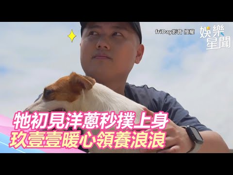 浪浪初見洋蔥秒撲上身　玖壹壹暖心領養當親生兒照顧｜三立新聞網SETN.com
