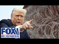 July border crossings hit STUNNING new lows amid Trump’s immigration crackdown