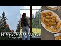 WEEKEND VLOG | aritzia clientele haul, making empanadas, farmer’s market, family time &amp; more!