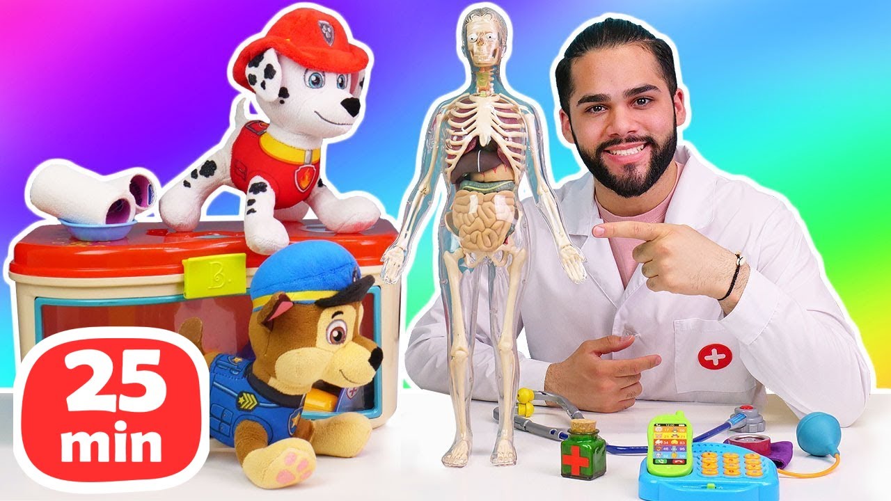 Vamos brincar de doutor! Esqueleto humano. Doutor de Brinquedo e a Patrulha Canina