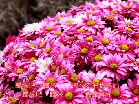 義大利民謠     Torna a Surriento/ Surrender    歸來吧蘇連多     朱慧珍
