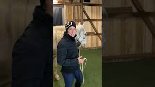 3 STEP Framework of HOW TO Start HIIT for Horses™️ from Equisit Way Of Life.horse - Collection Begin