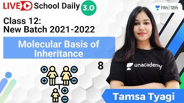Class 12 | New Batch 2021-22 | Molecular Basis of Inheritance L-8 | Biology | Tamsa Tyagi