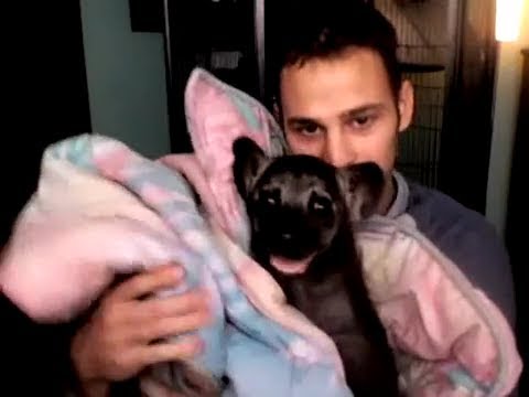 Bryan Hawn with pet Hyena Jake at 6 weeks old