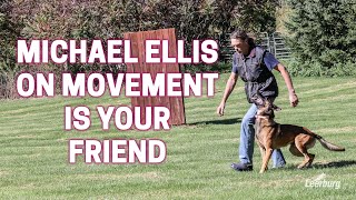 Michael Ellis on Movement is Your Friend