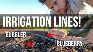 How to install simple Drip Irrigation lines by MakeWork 52 views 2 years ago 11 minutes, 35 seconds