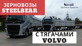 Зерновозы STEELBEAR + тягачи Volvo - стильно и надежно!