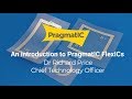 An introduction to PragmatIC FlexICs