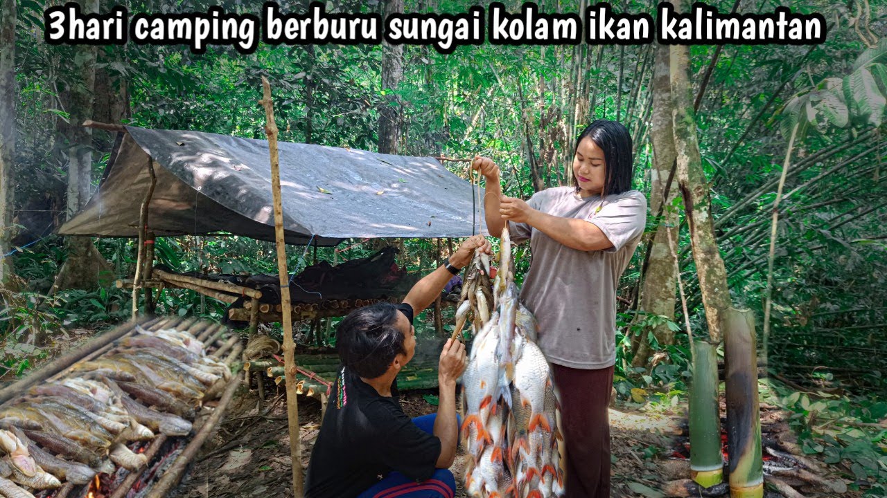3 hari camping istri senang berburu sungai kolam ikan kalimantan