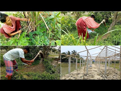 তোমাদের বৌদি আর আমি বাগান পরিষ্কার করতে গিয়ে যা হল 🤪🥴 Sundarban village lifestyle