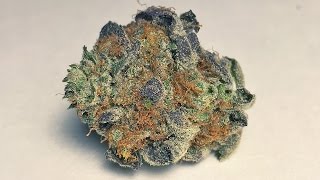 "Sour Berry OG" - (Strain Review)