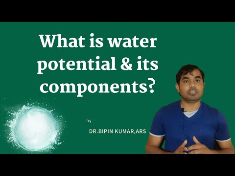 Video: Vilka är komponenterna i vattenpotential och varför är vattenpotential viktig?