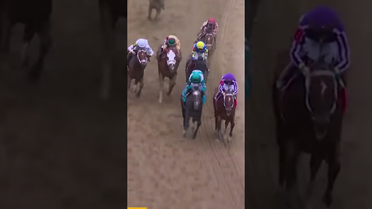 Preakness Stakes 2025 🏇 Highlights, Predictions & Betting Tips  Triple Crown Horse Racing