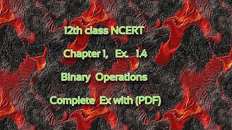 12th NCERT Ch 1/Ex 1.4/Binary Operations complete Solutions with PDF