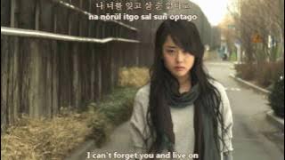 Yesung-It has to be You[eng subs romanji hangul]