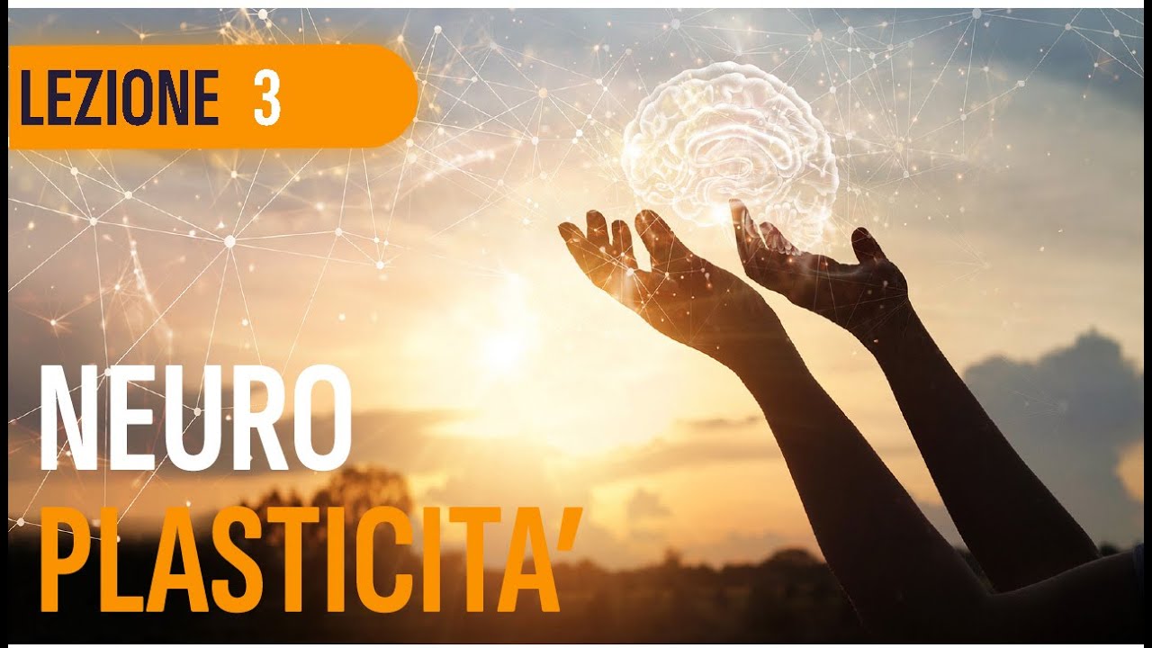 Abitudini, stress e felicità: cosa dice davvero la neuroplasticità