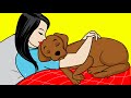 Funniest Videos for Pets to Watch Compilation  Funny Pet ...