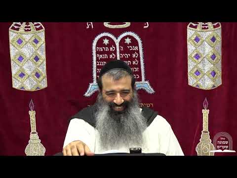 החיות היא פנימית לפעילות ההשכלה | הכניסה לעולם הקבלה חלק 30 | הרב מאיר מועלם