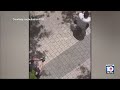 Video shows officer tasing suspect who authorities say stabbed woman in face with pen in Miami