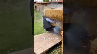 Dedem Nargileyi Dağ Yamacında İçerse Sonu Samanlıkta Biter