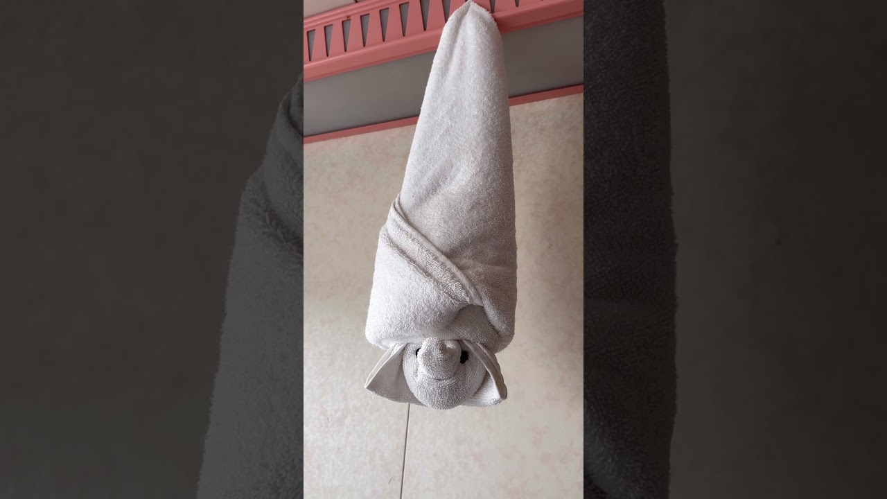 Day 6 towel animal #carnivalsplendor #carnivalcruise