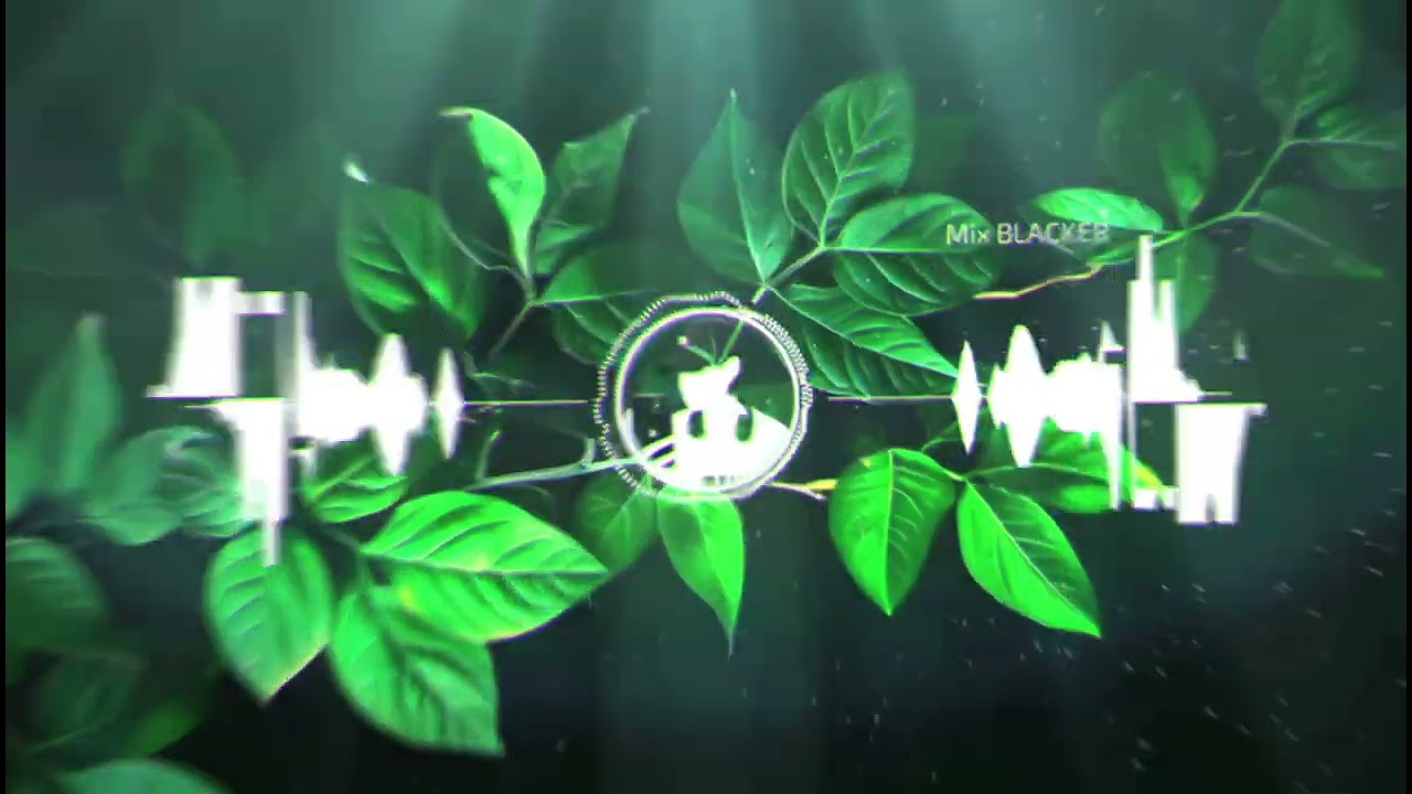 Bhuli Mu Paruni Remix ++++++++ | Old Odia Remix Song | Mix Blacker