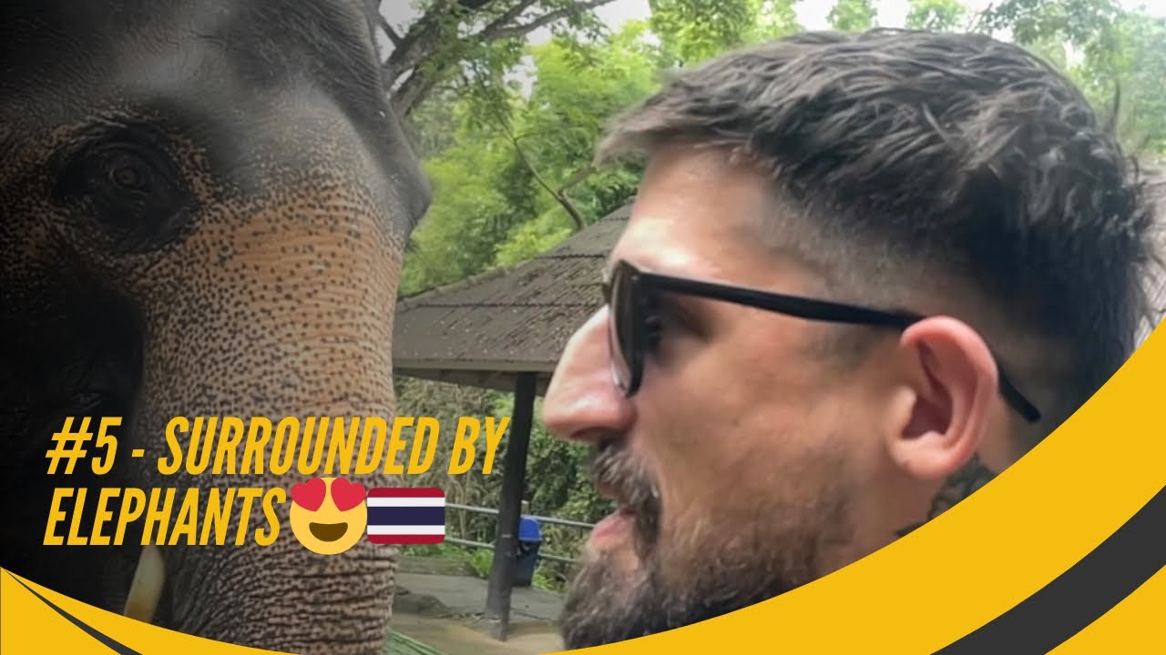 #5 SURROUNDED by Elephants 😍🇹🇭 - YouTube