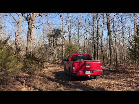 Video of Tract 8 at Timber Shoals Ranch - InstantAcres.com - ID#TS08