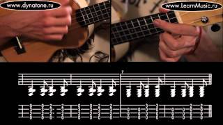 Видео урок: как играть песню Elephant Gun - Beirut на укулеле (гавайская гитара)