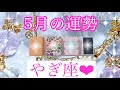 💐✨5月の運勢✨💐やぎ座さん✨💖【見たときがタイミング🥰】💖Mizuhoタロット💖オラクルカードリーディング💌