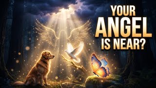 3 Animals That May Be a Sign Your Guardian Angel Is Near 👼