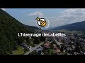 Bee sustainable  lhivernage des abeilles