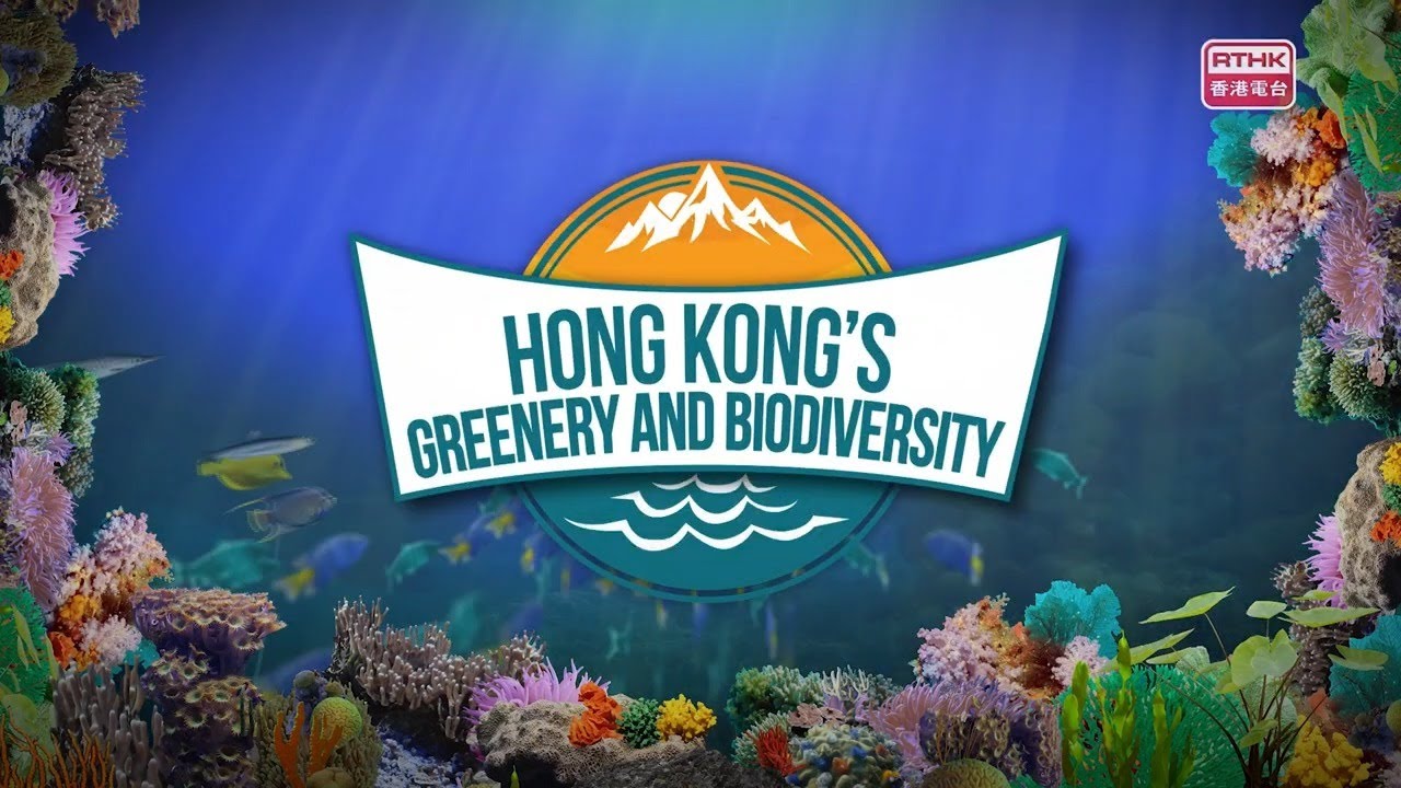Hong Kong's Greenery & Biodiversity - Day and Night of Tai Tam Country Park