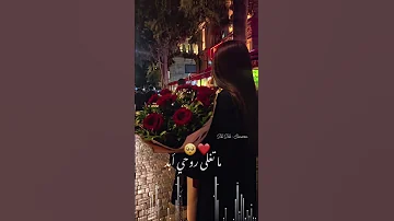 ياجميل الروح ياملفت الشامي حالات واتس 