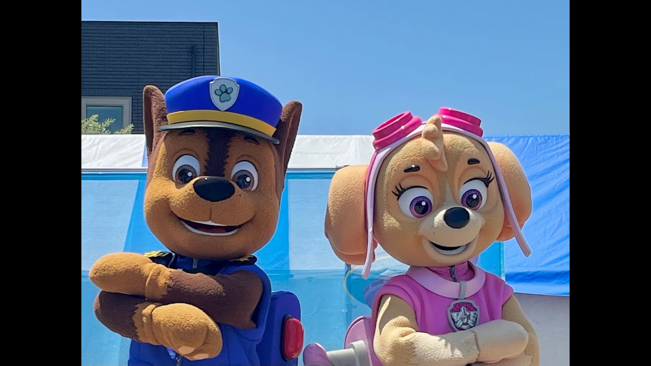 パウパトロール ショー チェイス スカイ | 汪汪隊立大功 表演 阿奇 天天 | PAW Patrol Show Chase Skye パウパトロール ショー チェイス スカイ | 汪汪隊立大功 表演 阿奇 天天 | PAW Patrol Show Chase Skye