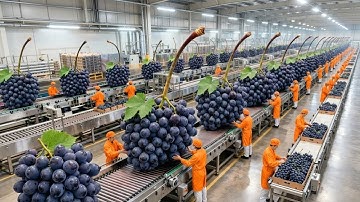 Inside a Modern Grape Facility: Whole Grapes to Concentrated Grape Syrup (Full Process)