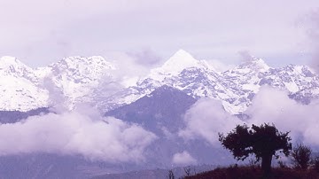 Valerie Messini "Über Carl Pruscha"