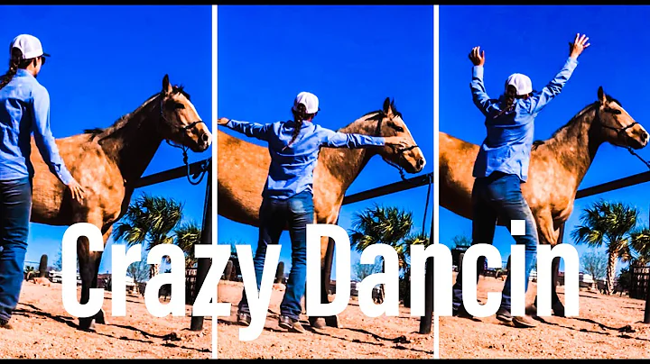 MY CRAZY DANCE !!!