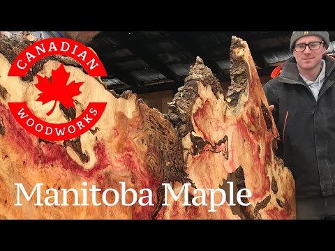 Woodworking Life 162 - Saw Milling Burly Box Elder aka Manitoba Maple