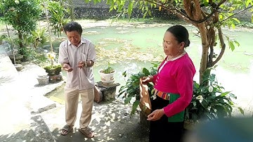 bùi minh bùi hà hát mường ở  nhà anh  liều phố sấu  phú thọ