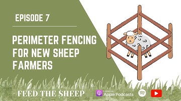 Ep. 7 : Perimeter Fencing Options for New Sheep Farmers | Off-Set, Woven Wire, Hi-Tensile Fencing