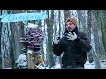 Poisonous mushrooms in winter ☠ Oyster mushrooms, Judas ears, Enoki mushrooms and their dangerous...