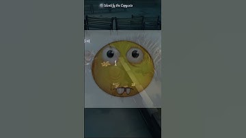 Identiteit V Copycat - Grapje :) #copycat #identiteitv