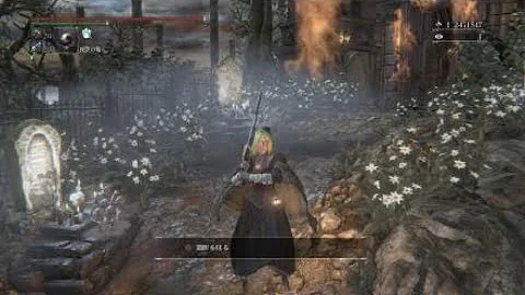 Bloodborne 属性