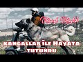 KANGALLAR İLE HAYATA TUTUNDU ( CÜNEYT ÇAYLAK ) #2 #KANGAL