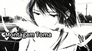 Montagam Toma (cover Music NCS)