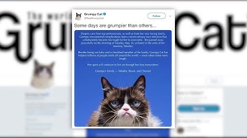 Video Extra: RIP Grumpy Cat